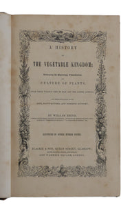 A History of the Vegetable Kingdom by Rhind, W.