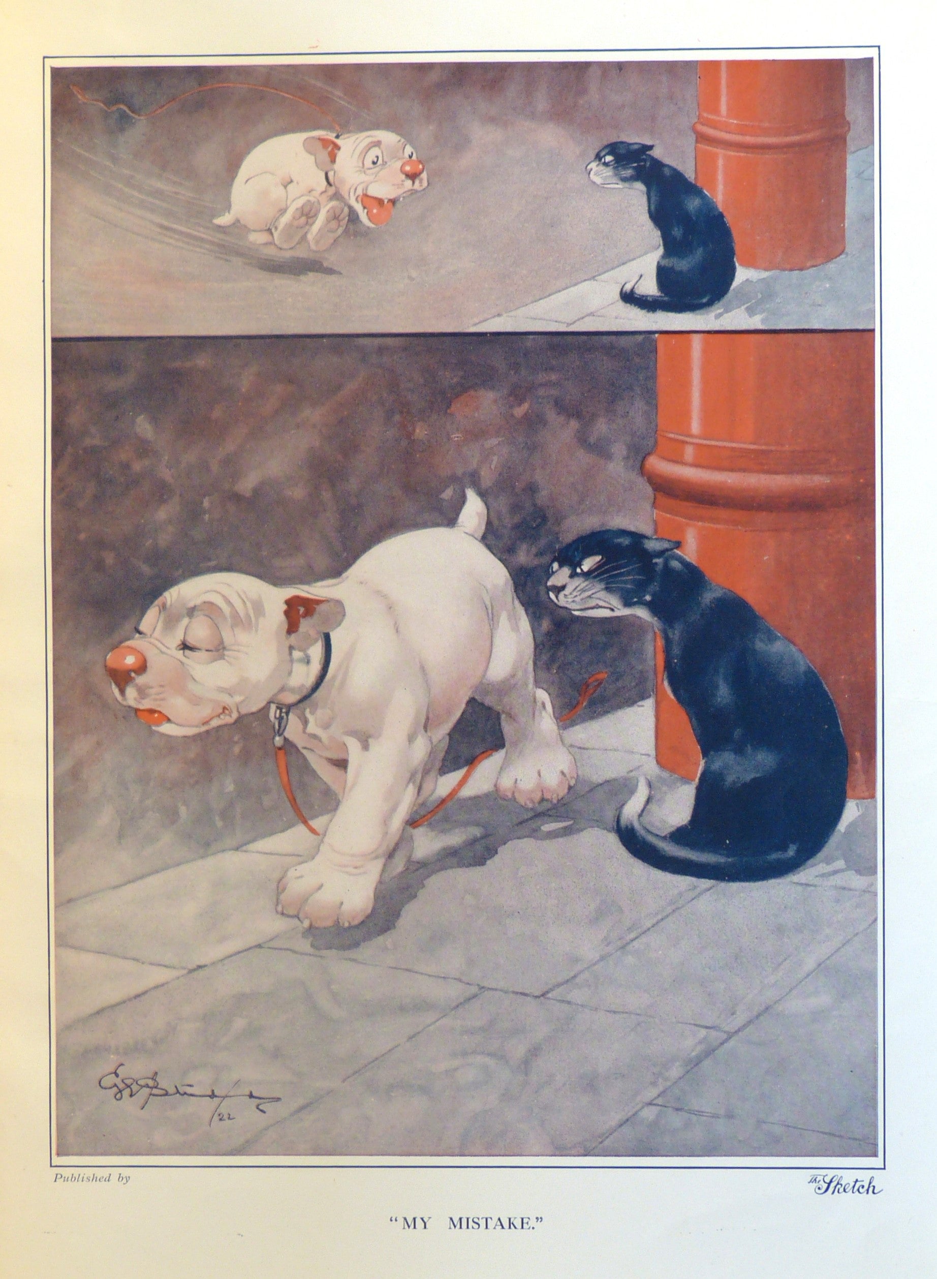 The Studdy Dogs Portfolio  by Studdy, G. E.