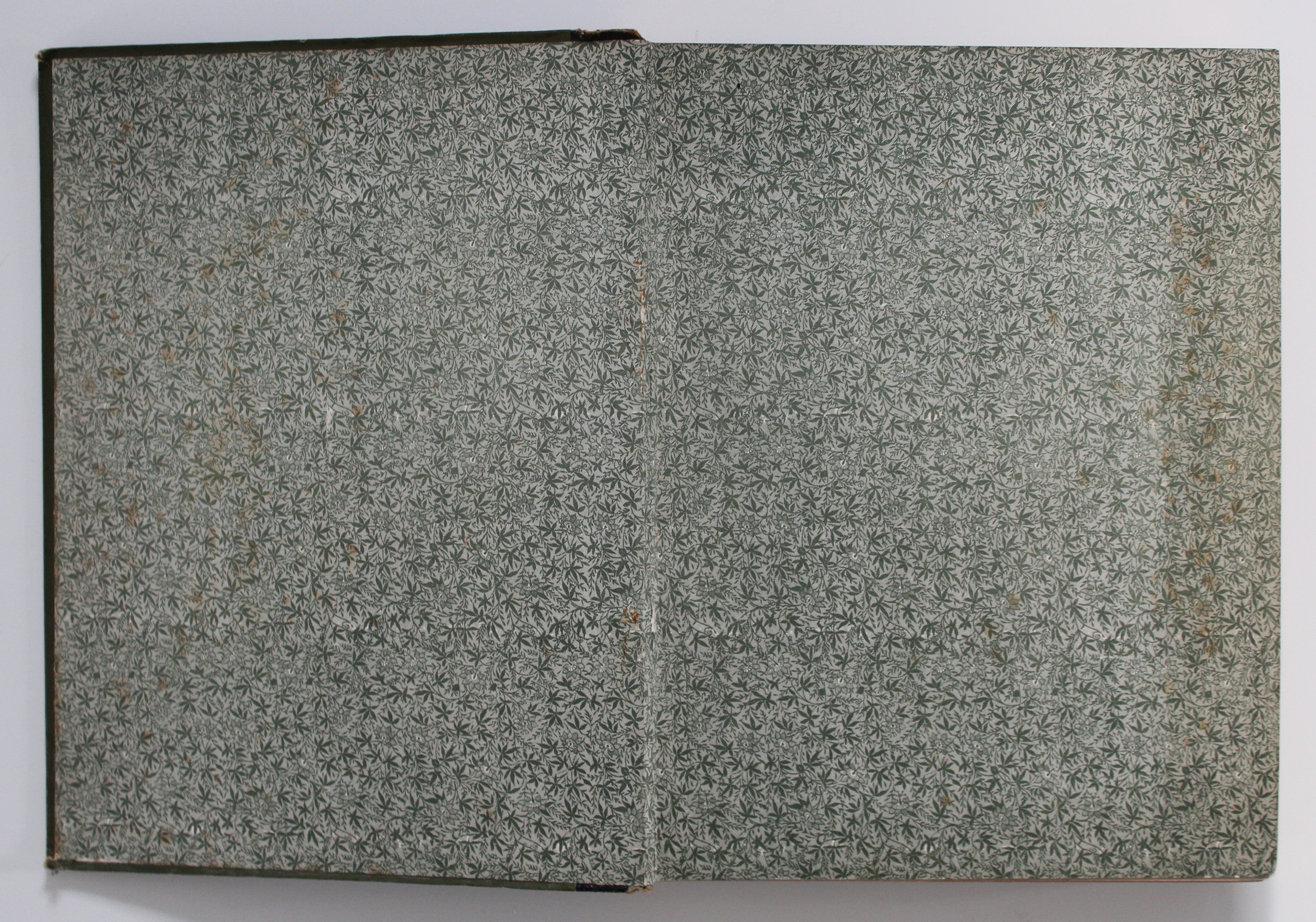 The Ruined Cities of Ceylon By Cave, Henry W.