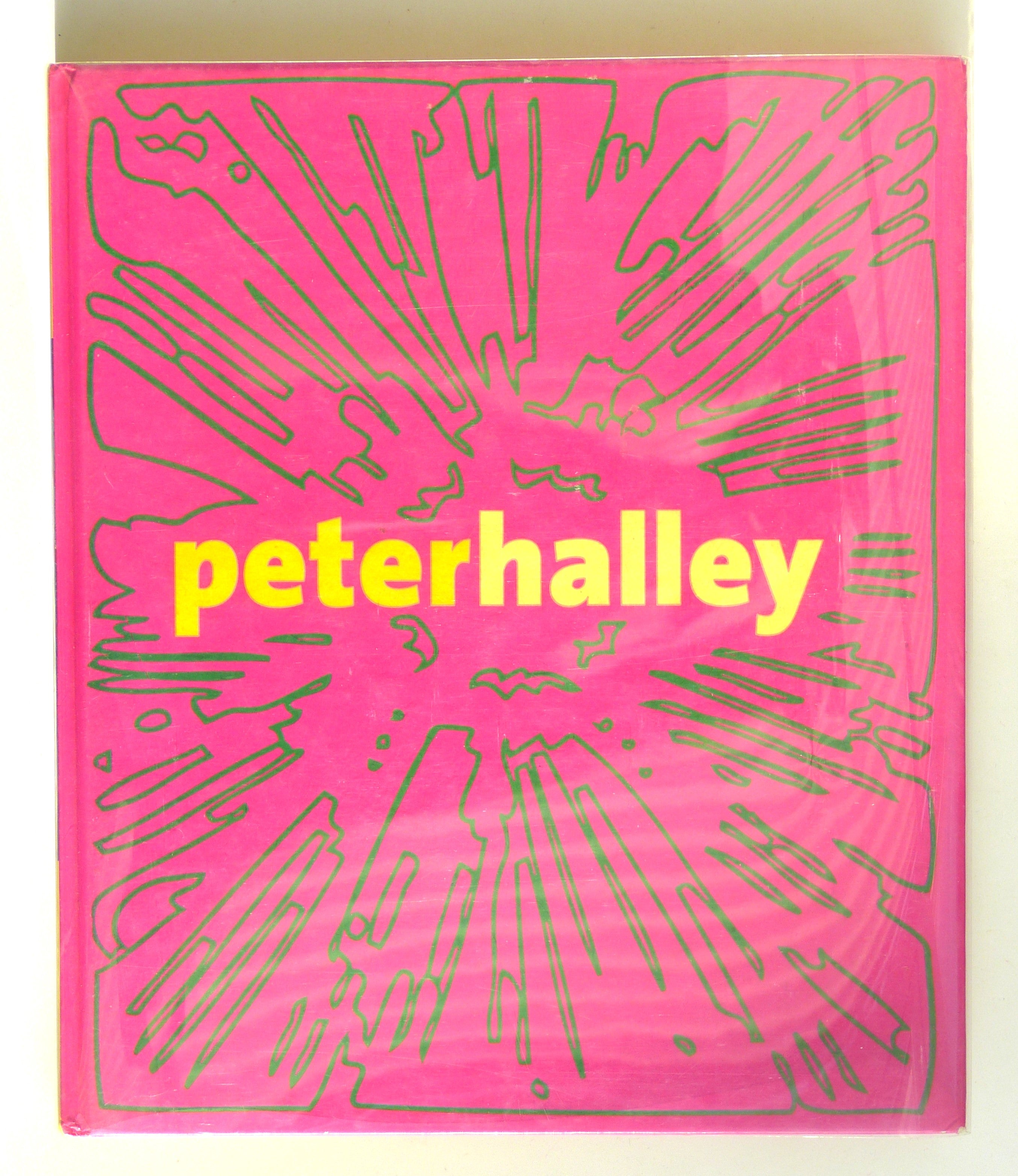 Peter Halley:Maintain Speed by Reynolds, Corey