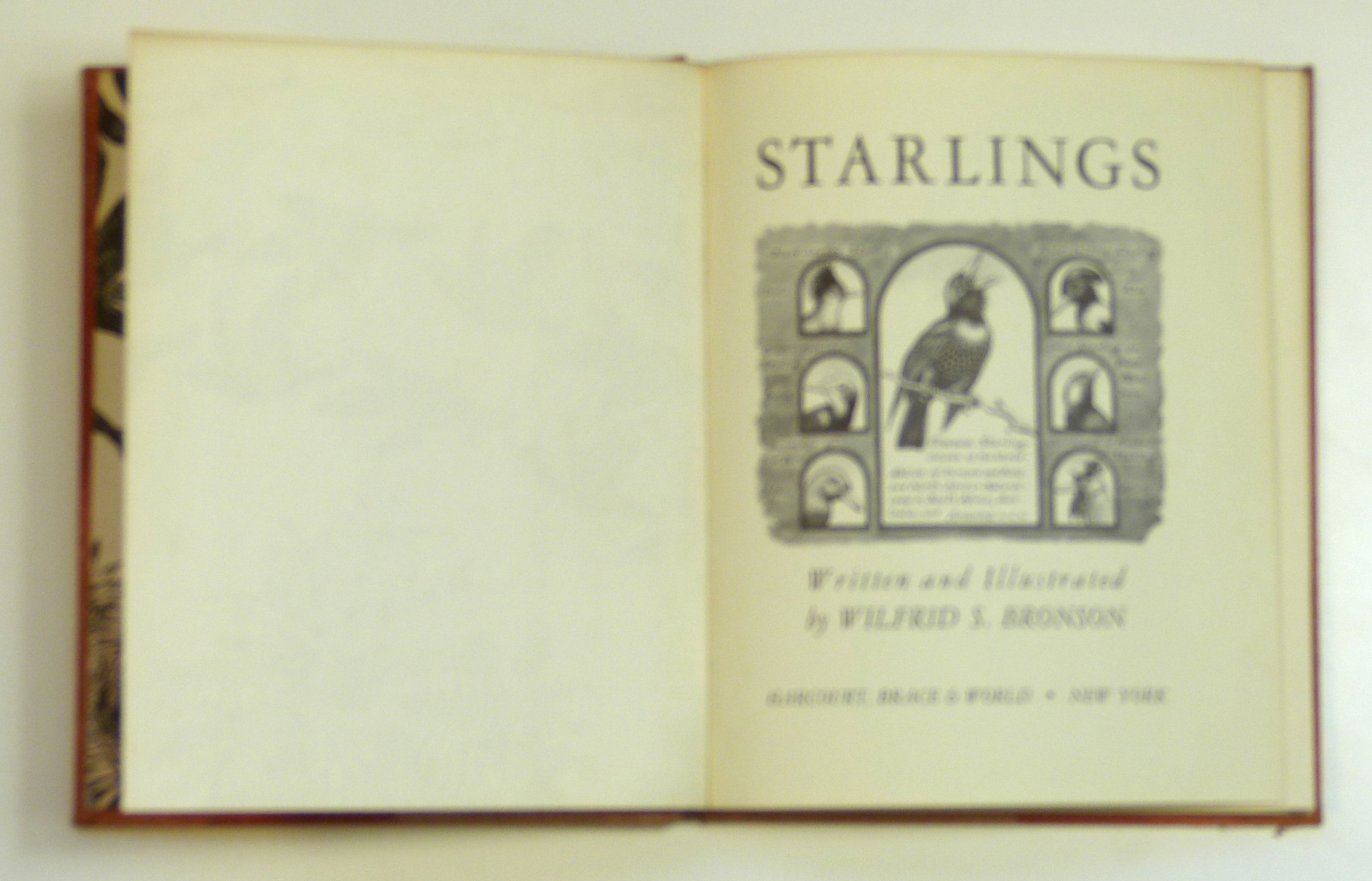 Starlings by Bronson, W.S.