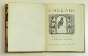 Starlings by Bronson, W.S.
