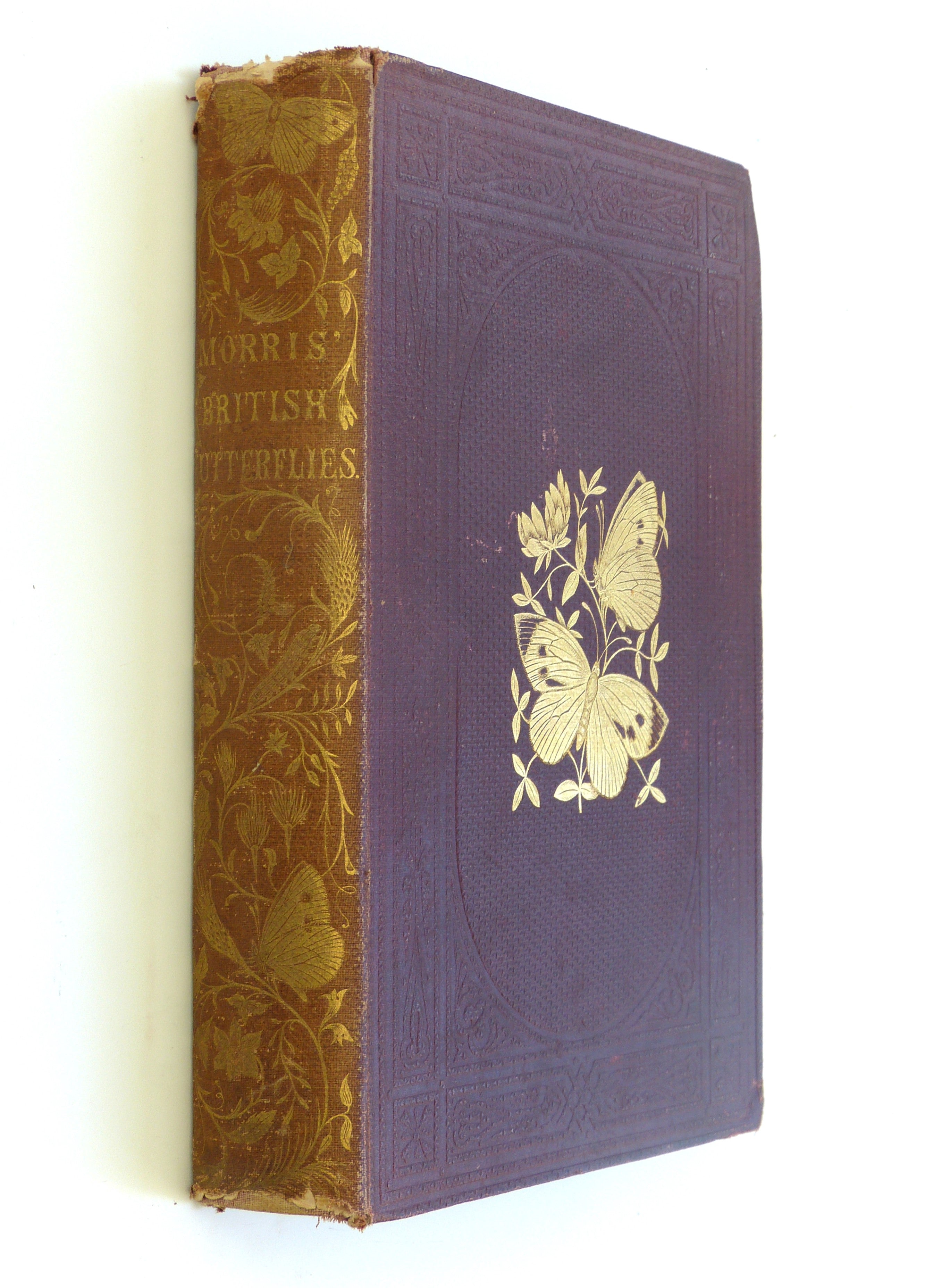 A History of British Butterflies by The Rev. F. O. Morris