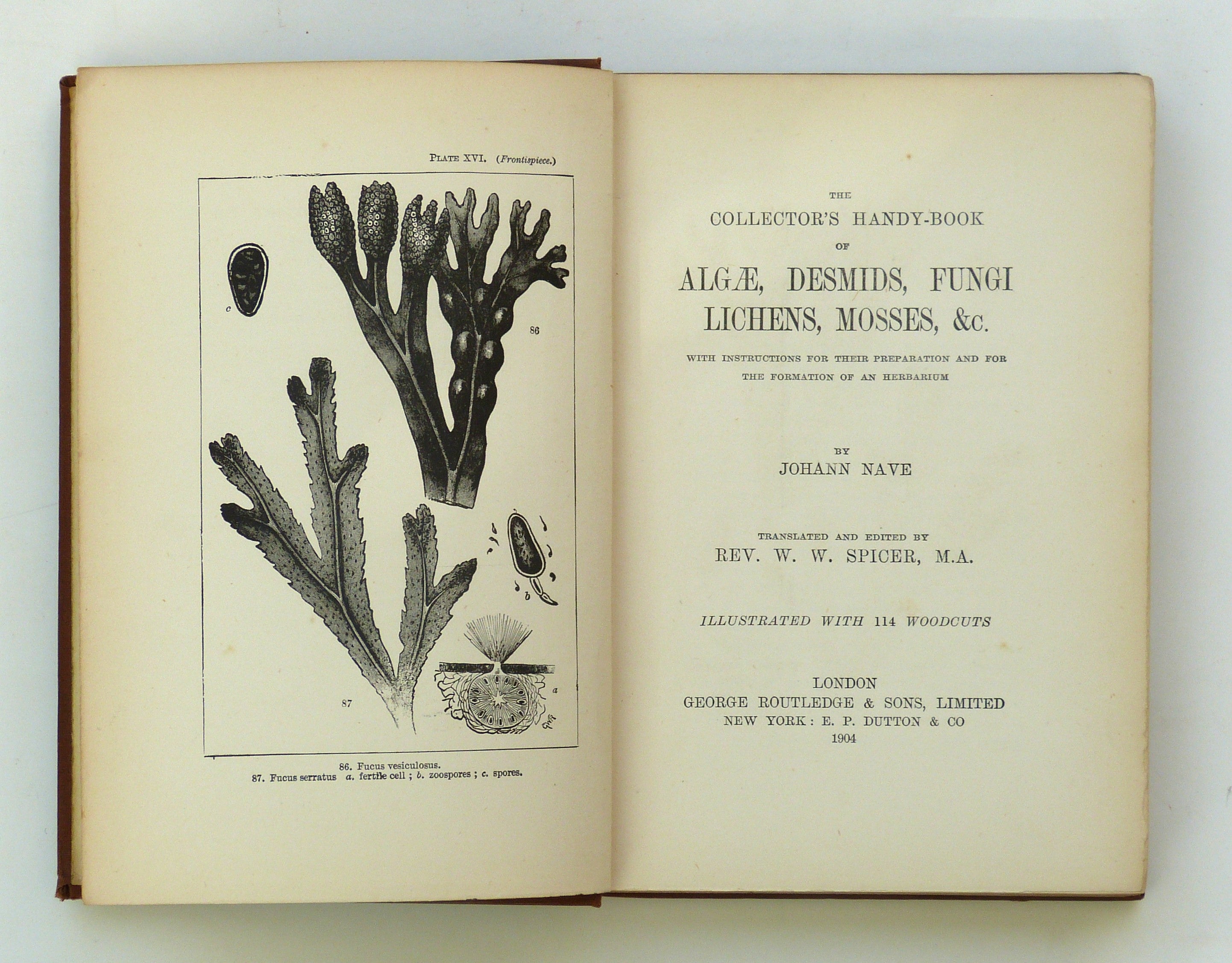 The Collectors Handy-Book of Algae, Desmids, Fungi, Lichens, Mosses by Johann Nave - Translated and Edited by Rev. W. W. Spicer