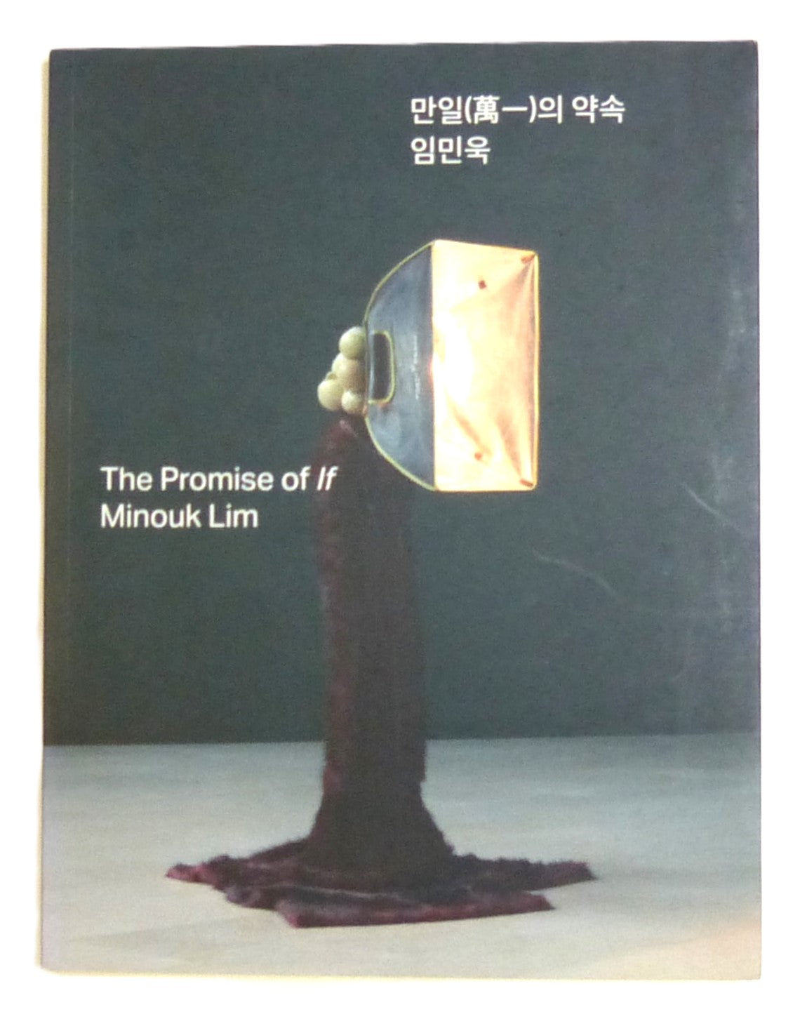 Minouk Lim: The Promise of If by Minouk Lim; Soyeon Ahn; Nam-See Kim