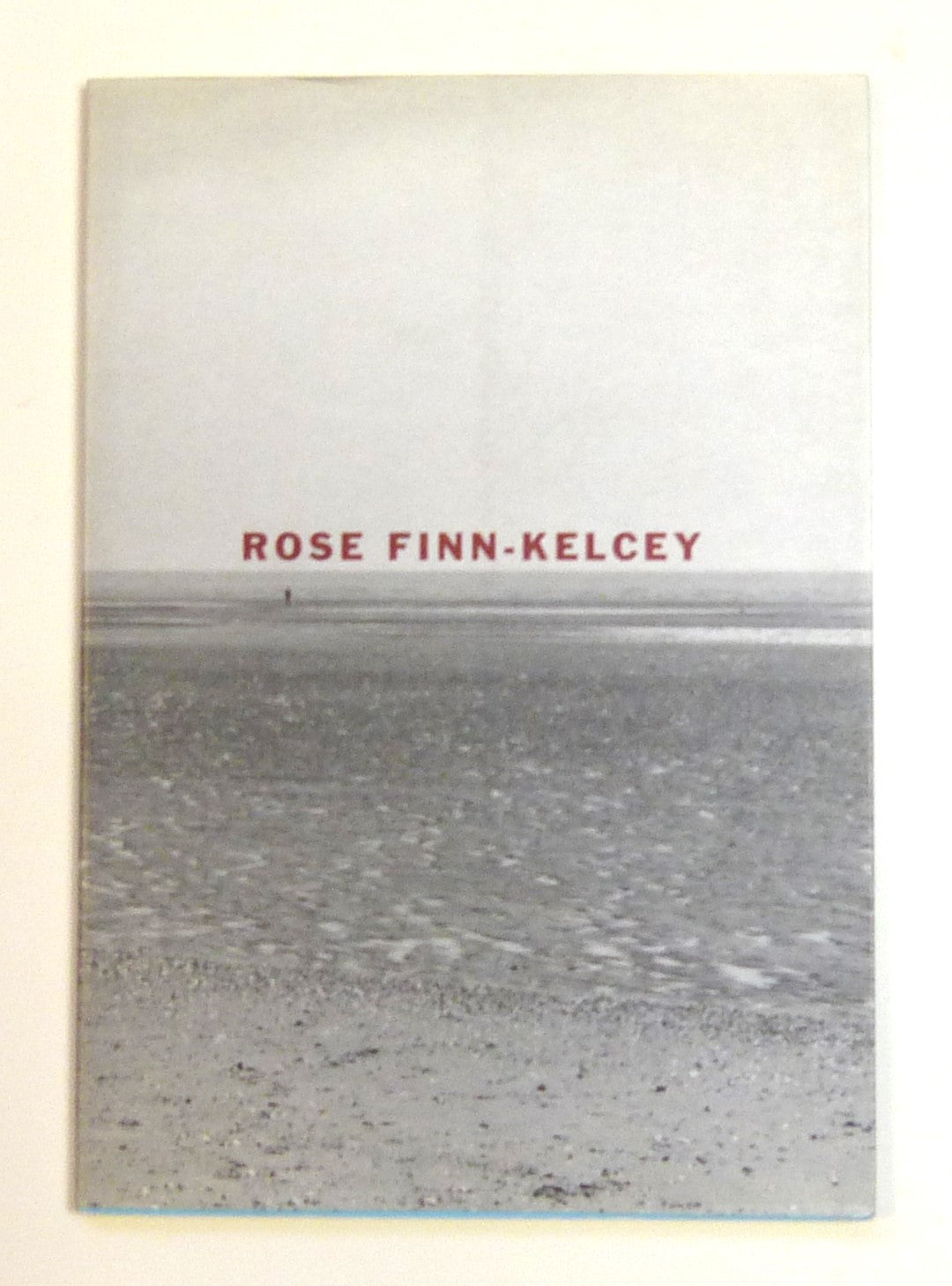 Rose Finn-Kelcey by Guy Brett