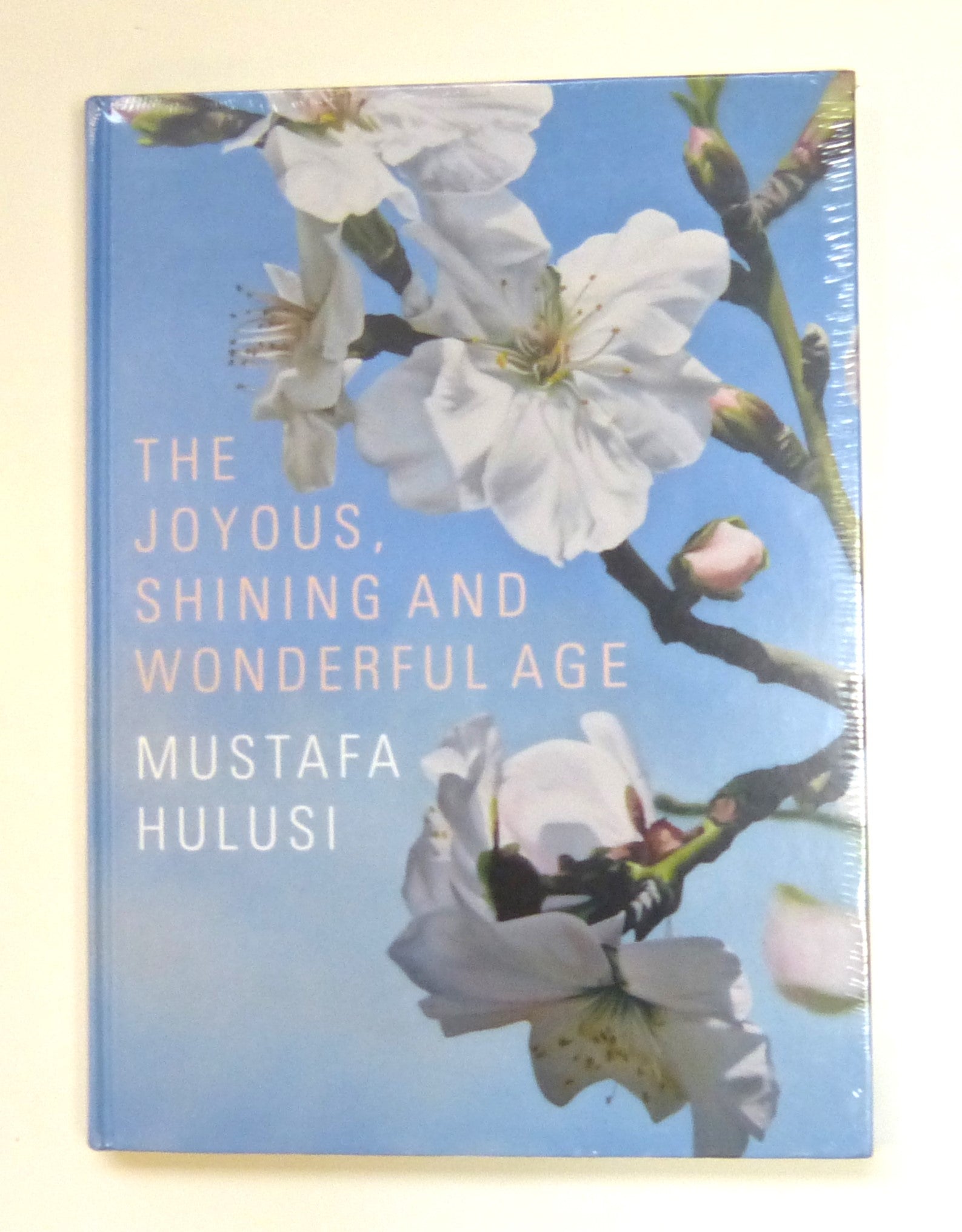 Mustafa Hulusi: The Joyous, Shining And Wonderful Age by Rosenthal, Norman; Kyriacou, Sotiris; Craddock, Sacha