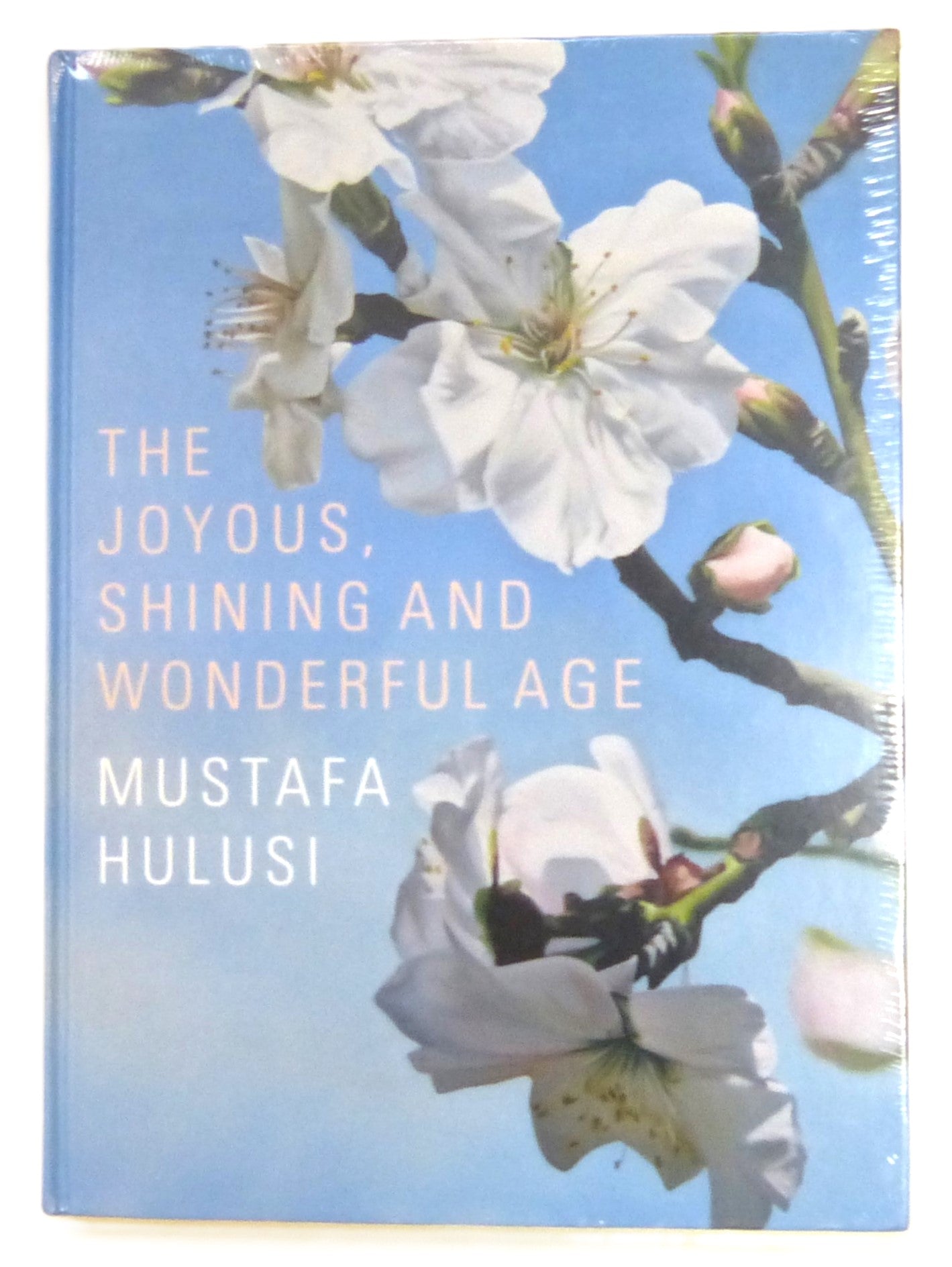 Mustafa Hulusi: The Joyous, Shining And Wonderful Age by Rosenthal, Norman; Kyriacou, Sotiris; Craddock, Sacha