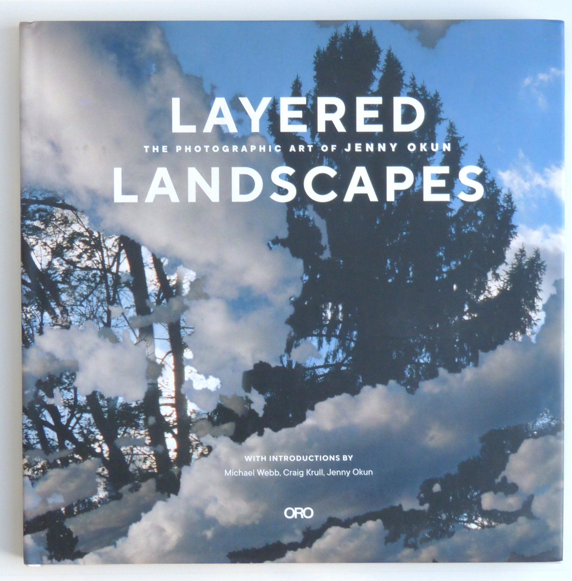 Layered Landscapes: The Photographic Art of Jenny Okun by Okun, Jenny