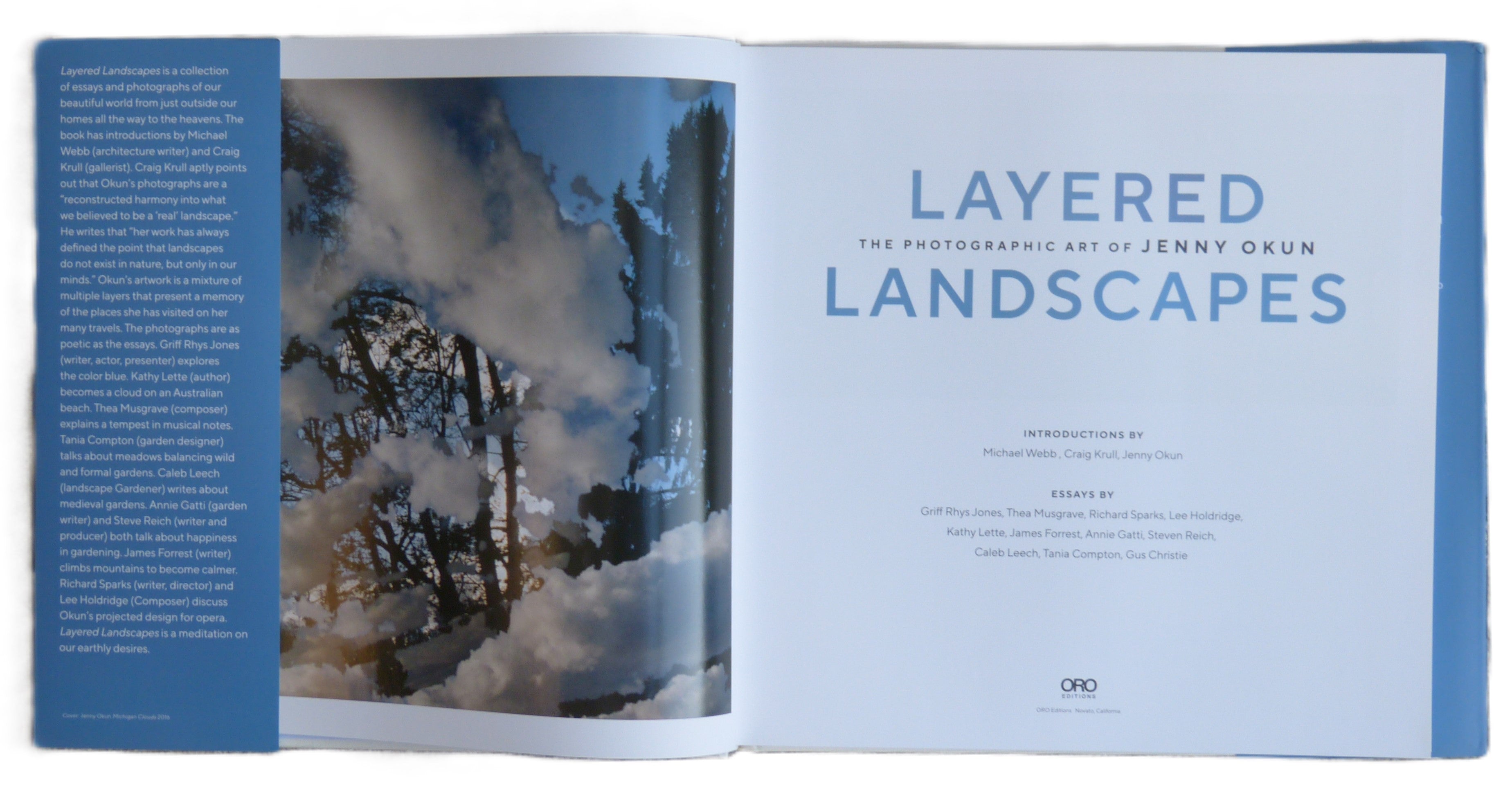 Layered Landscapes: The Photographic Art of Jenny Okun by Okun, Jenny