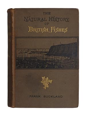 The Natural History of British Fishes by Frank Buckland