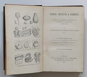 Ferns: British and Foreign by Smith, John