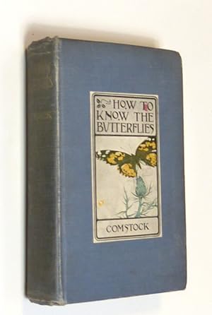 How To Know the Butterflies A Manual of the Butterflies of the Eastern United States John Henry Comstock